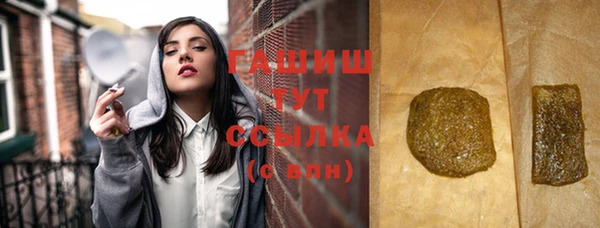 индика Козельск