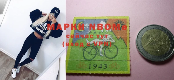 индика Козельск