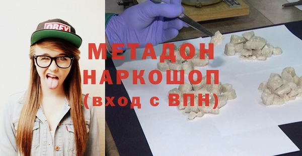 индика Козельск