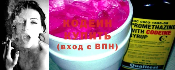 индика Козельск