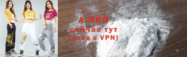 индика Козельск