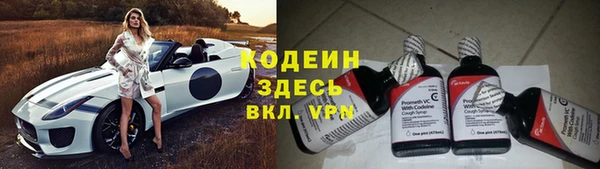 индика Козельск
