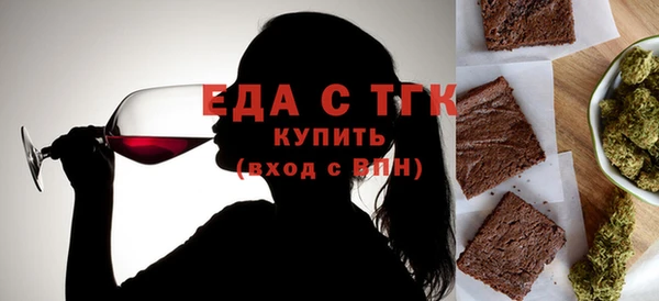 индика Козельск