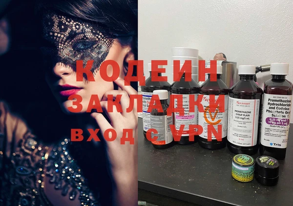 индика Козельск