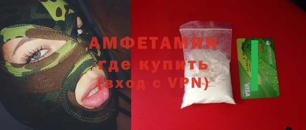 индика Козельск