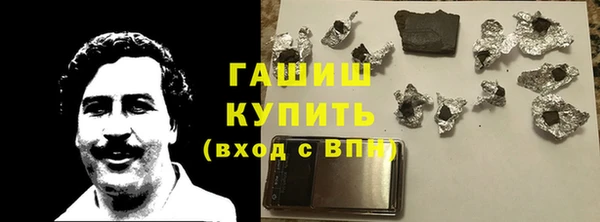 индика Козельск