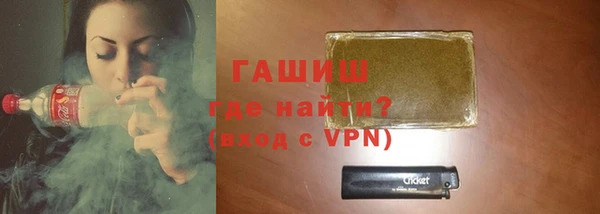 индика Козельск