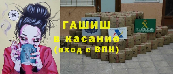 индика Козельск
