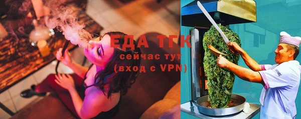 индика Козельск