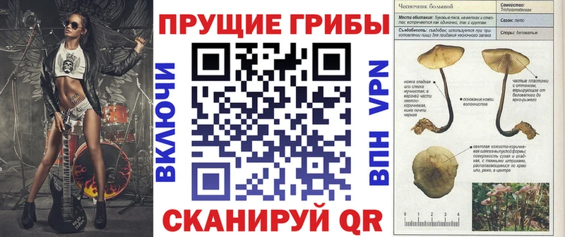 Псилоцибиновые грибы Cubensis  Купить где  Гаврилов Посад 